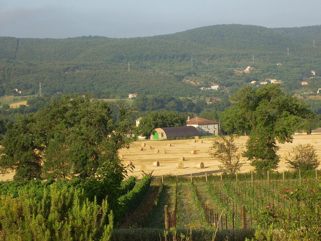 Agriturismo Regno Verde Narni Exteriör bild