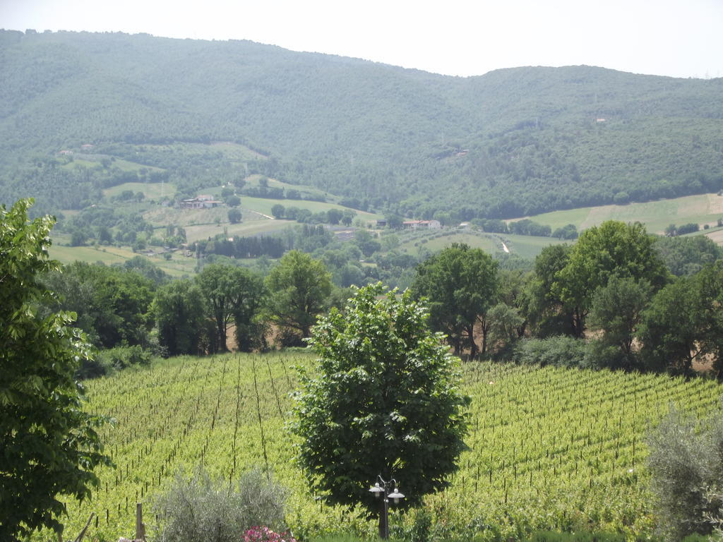 Agriturismo Regno Verde Narni Exteriör bild